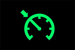 Cruise Mode Indicator