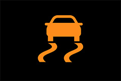 Vehicle Dynamic Control Warning Light