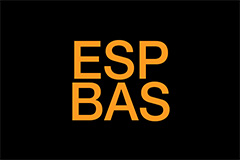 ESP BAS Indicator Light