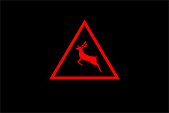 Night Vision Animal Warning Light