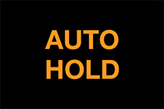 Auto Hold Indicator Light