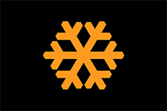 Ice Warning Light