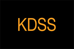 Kinetic Dynamic Suspension System kdss warning light