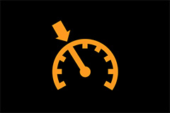 Cruise Control Indicator