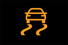 Dynamic Stability Control Indicator Light