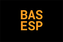 BAS ESP Warning Lamp
