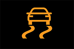 Dynamic Stability Control Indicator