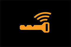 Access Key Warning Indicator