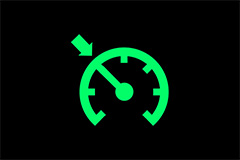 Cruise Control Indicator Light