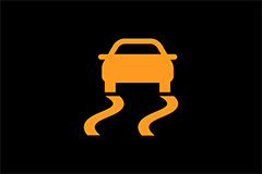 Vehicle Dynamics Control Warning Light