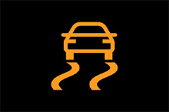 Electronic Stability Control Warning Light