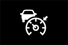 Adaptive Cruise Control Indicator Light