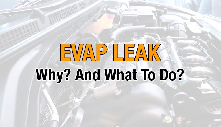 Here's where you can get a thorough understanding of the EVAP leak